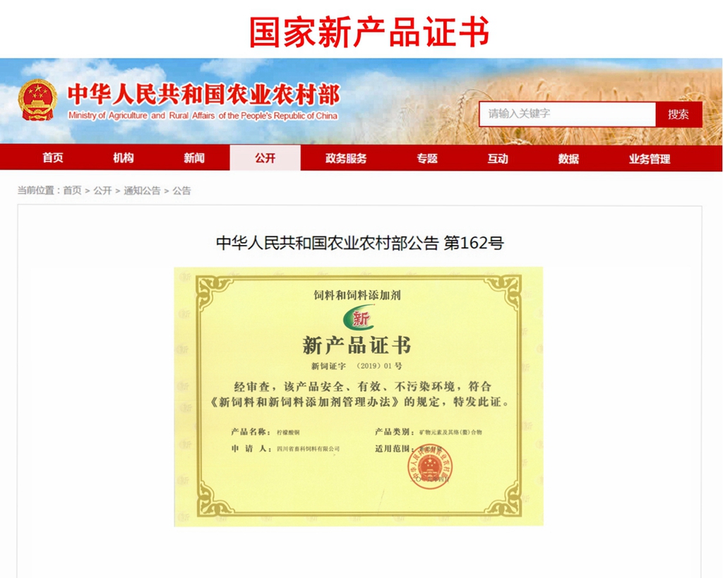 news07.jpg news07.jpg