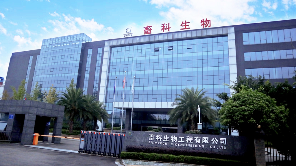 畜科生物工程1_副本.jpg 畜科生物工程1_副本.jpg